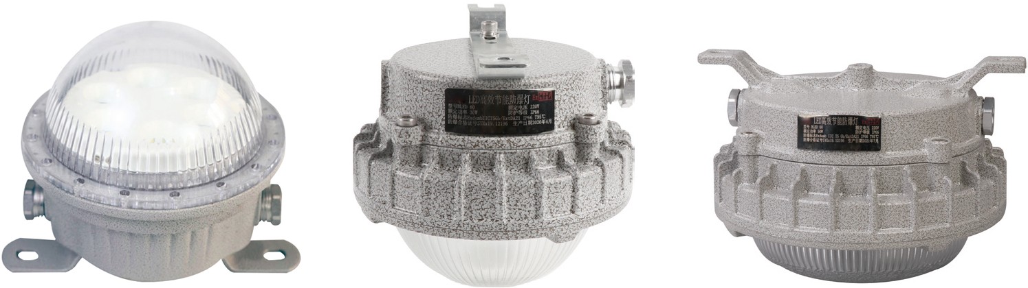 BFL822 防爆 LED 顶灯