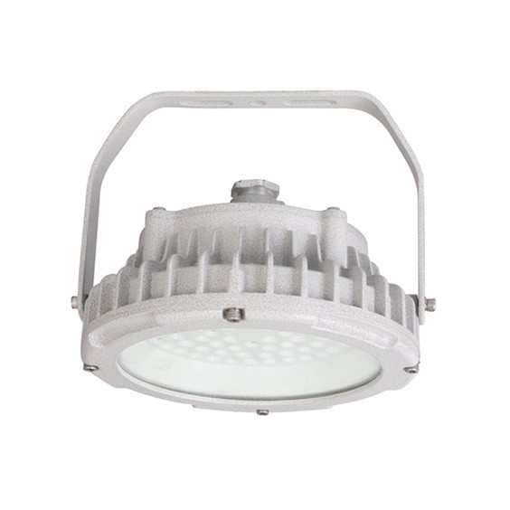 BFL830 防爆 LED 泛光灯 BFL830 防爆 LED 泛光灯