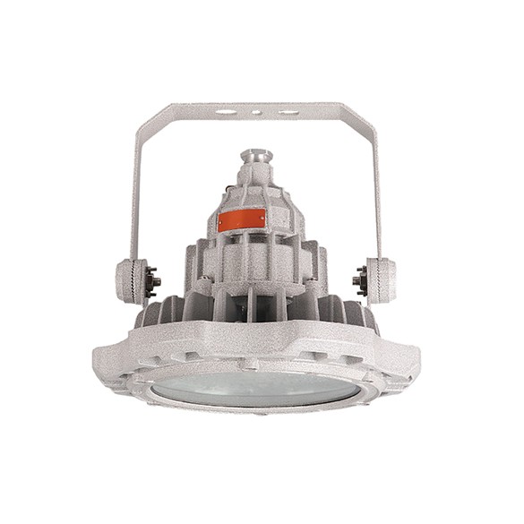 BFL801 防爆 LED 泛光灯 BFL801 防爆 LED 泛光灯