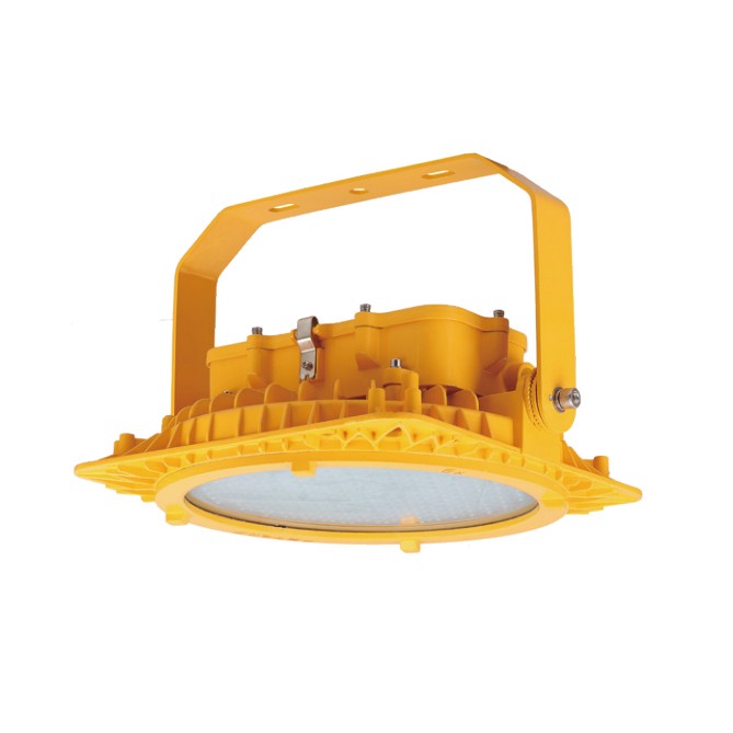 BFL836 防爆 LED 投、泛光灯 BFL836 防爆 LED 投、泛光灯